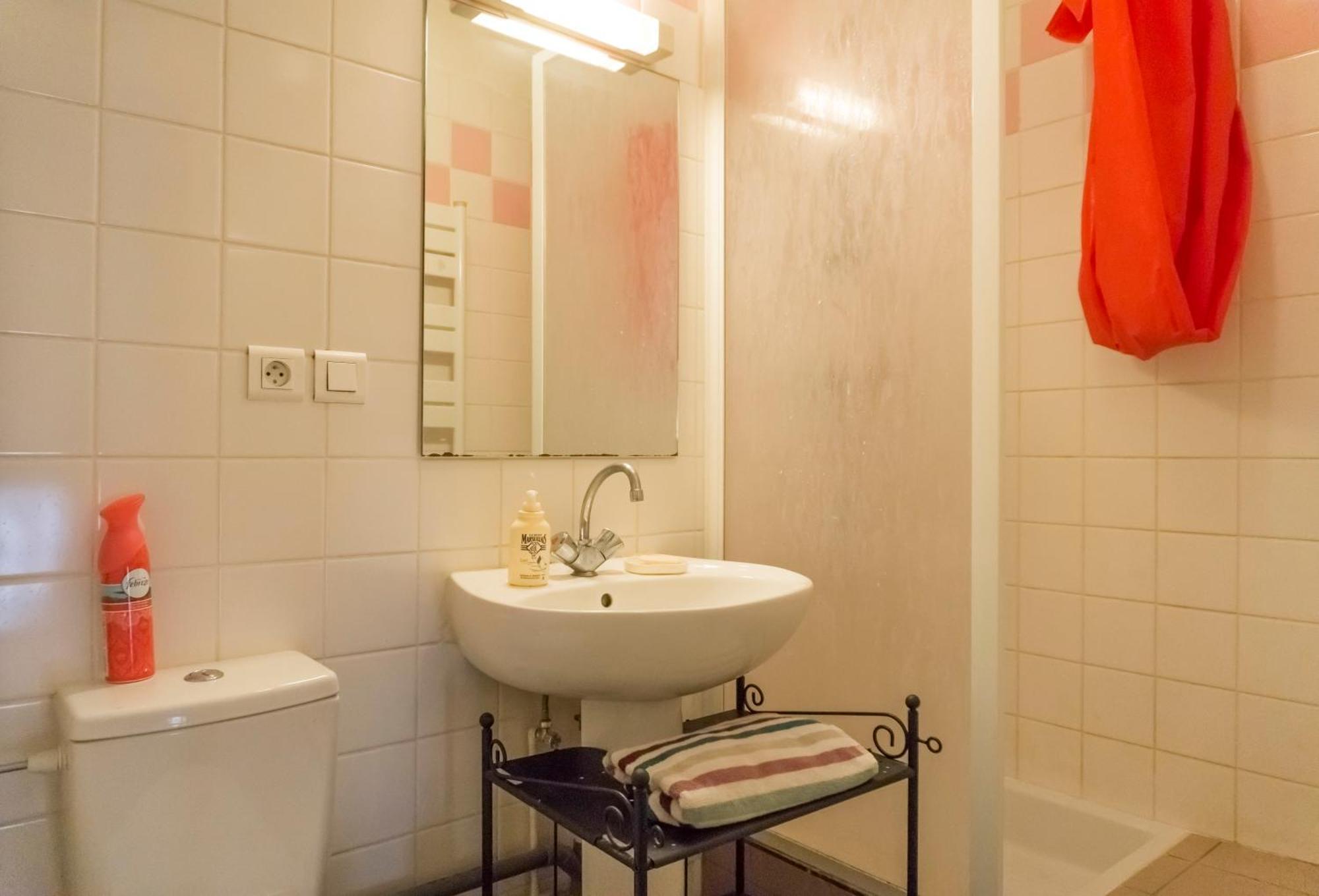 Charming Attic Duplex In The Heart Of Appartement Strasbourg